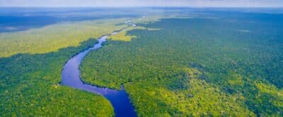 Imagem do post Coalizão Verde de Bancos de Desenvolvimento Compromete-se com até US$ 20 Bi para Sustentabilidade na Amazônia